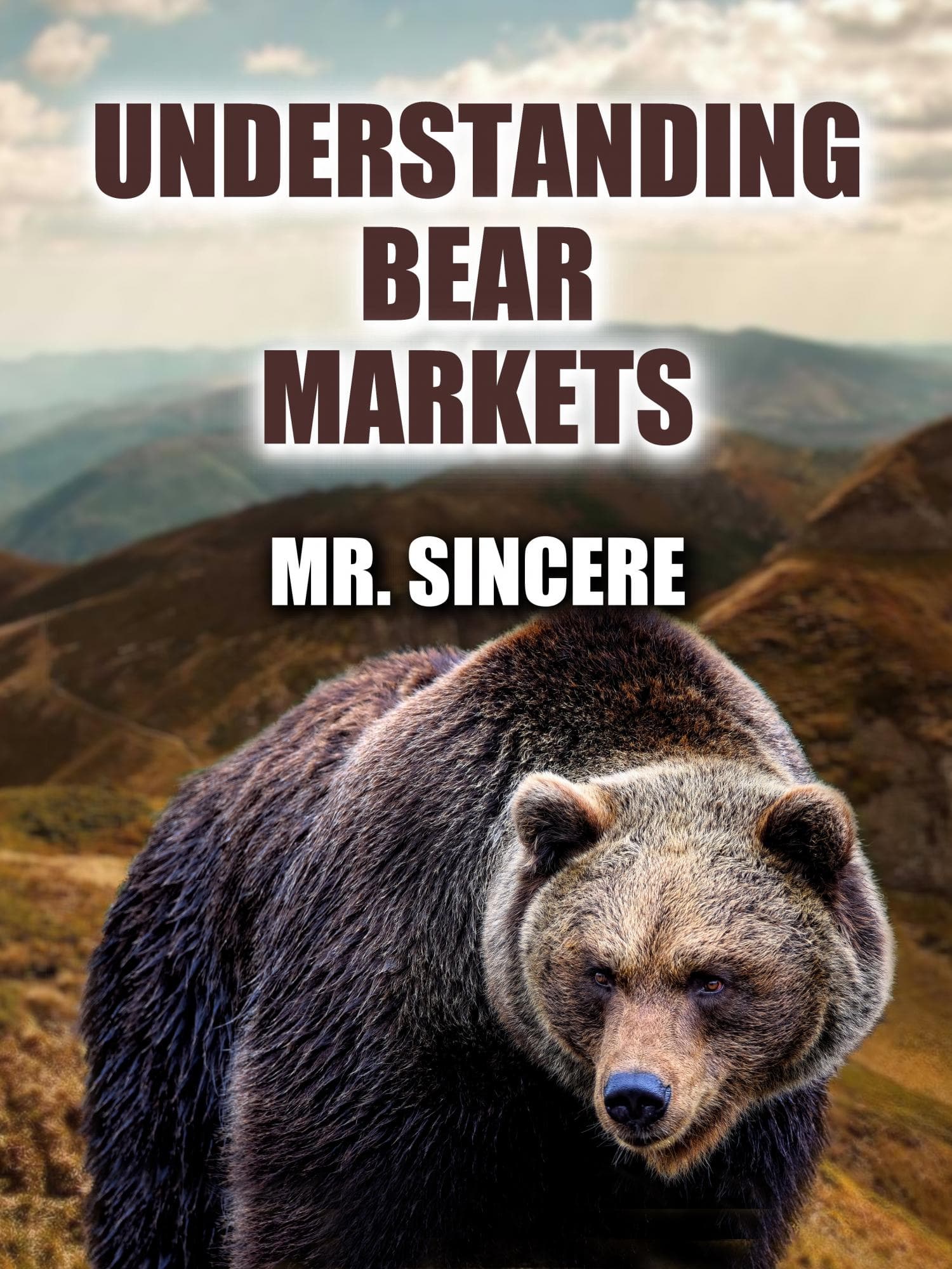 Bear Market Strategies for Beginners