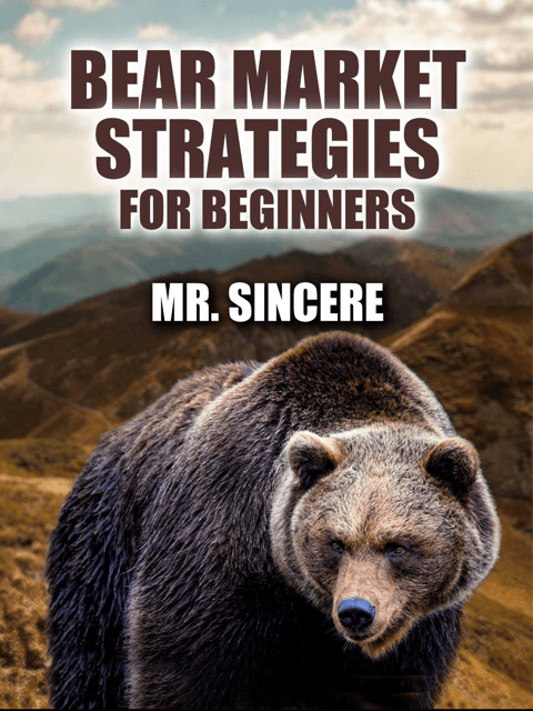 Bear Market Strategies for Beginners
